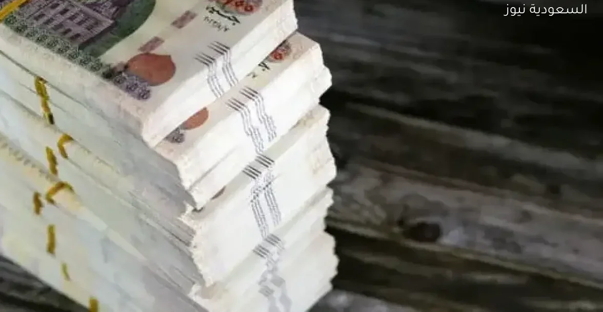 مستقبل شهادات الادخار في البنوك المصرية قبل يناير 2026