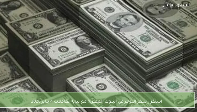 استقرار سعر الدولار في البنوك المصرية مع بداية تعاملات 4 يناير 2026