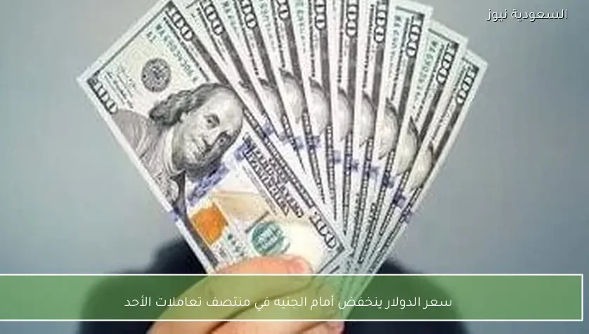 سعر الدولار ينخفض أمام الجنيه في منتصف تعاملات الأحد